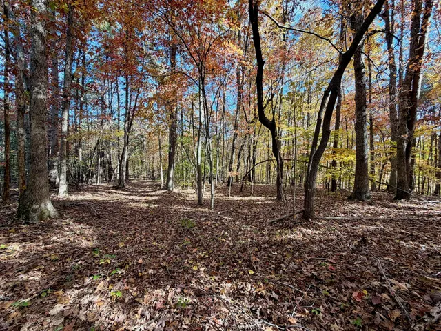 a aerial view of a house with a yard