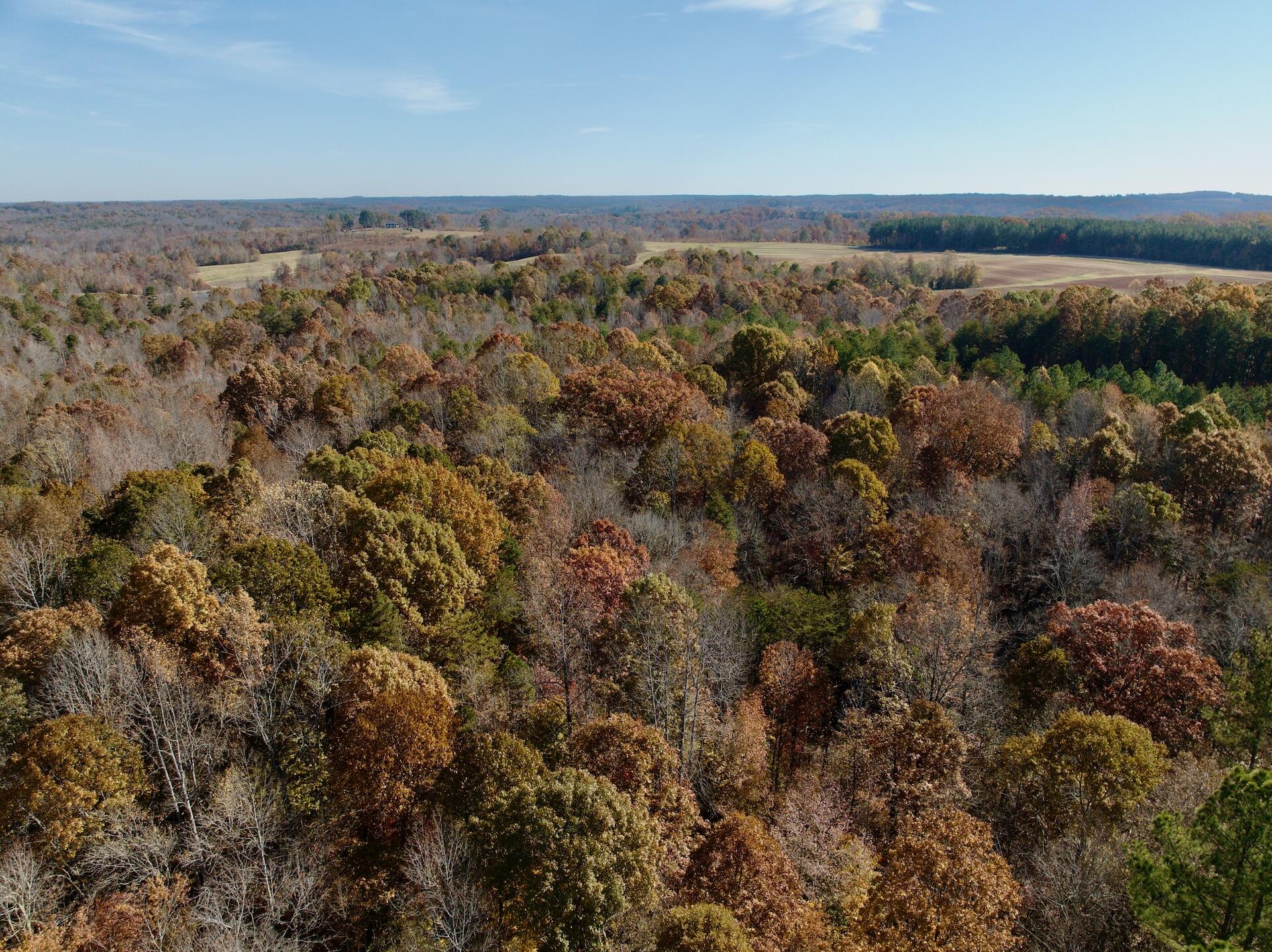 0 Slatesville Road Keeling, VA 24566 - Photo 66 of 78 a view of an outdoor space and a lake view