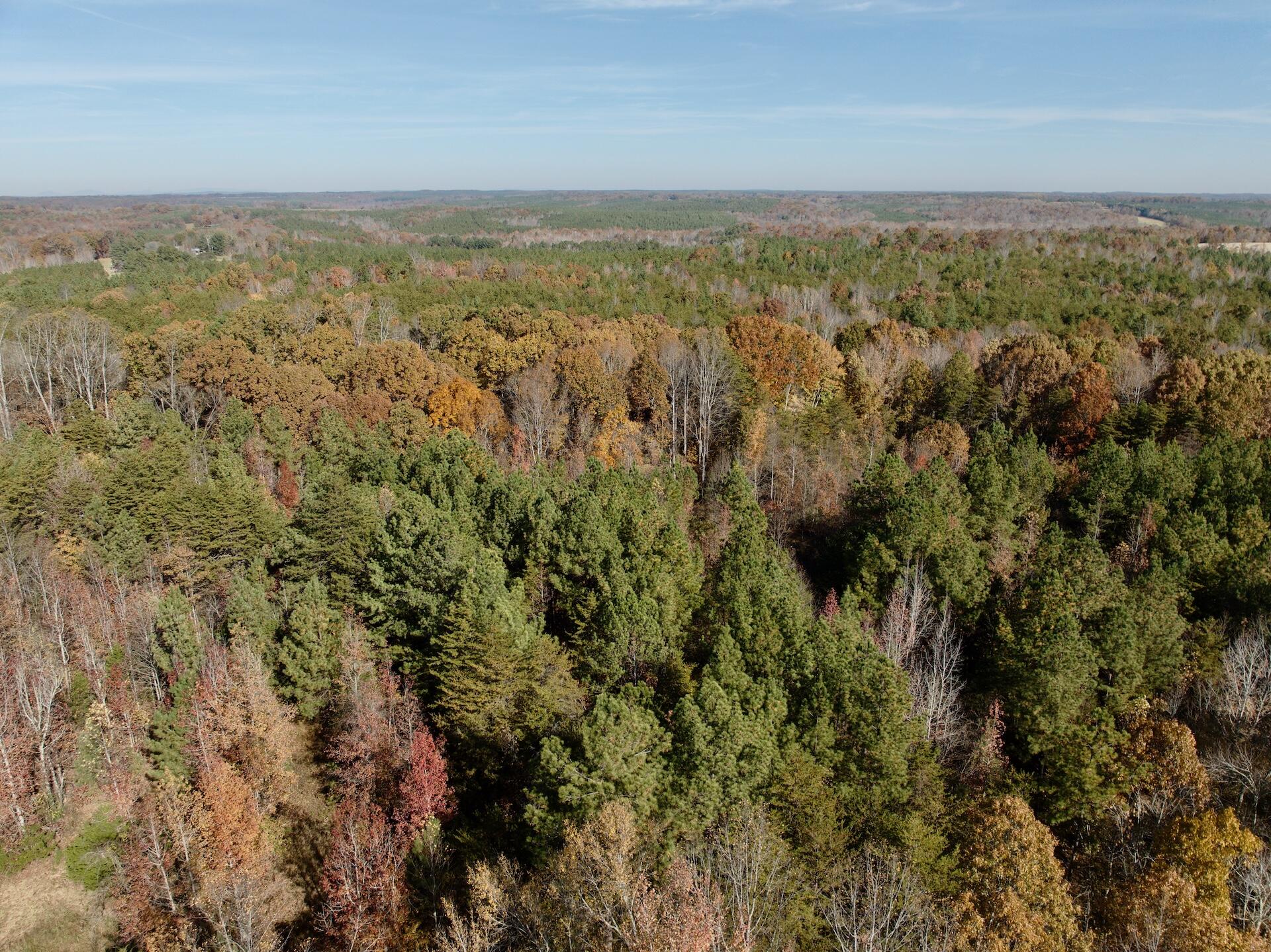 0 Slatesville Road Keeling, VA 24566 - Photo 67 of 78 a view of a city with an outdoor space