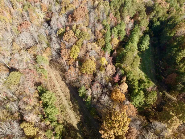 $223,900 | 0 Slatesville Road, Keeling, VA 24566