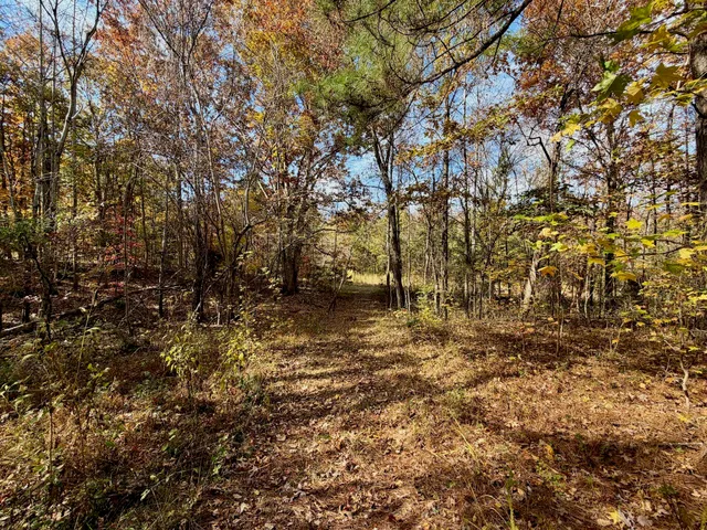 a backyard of a house with lots of green space and forest