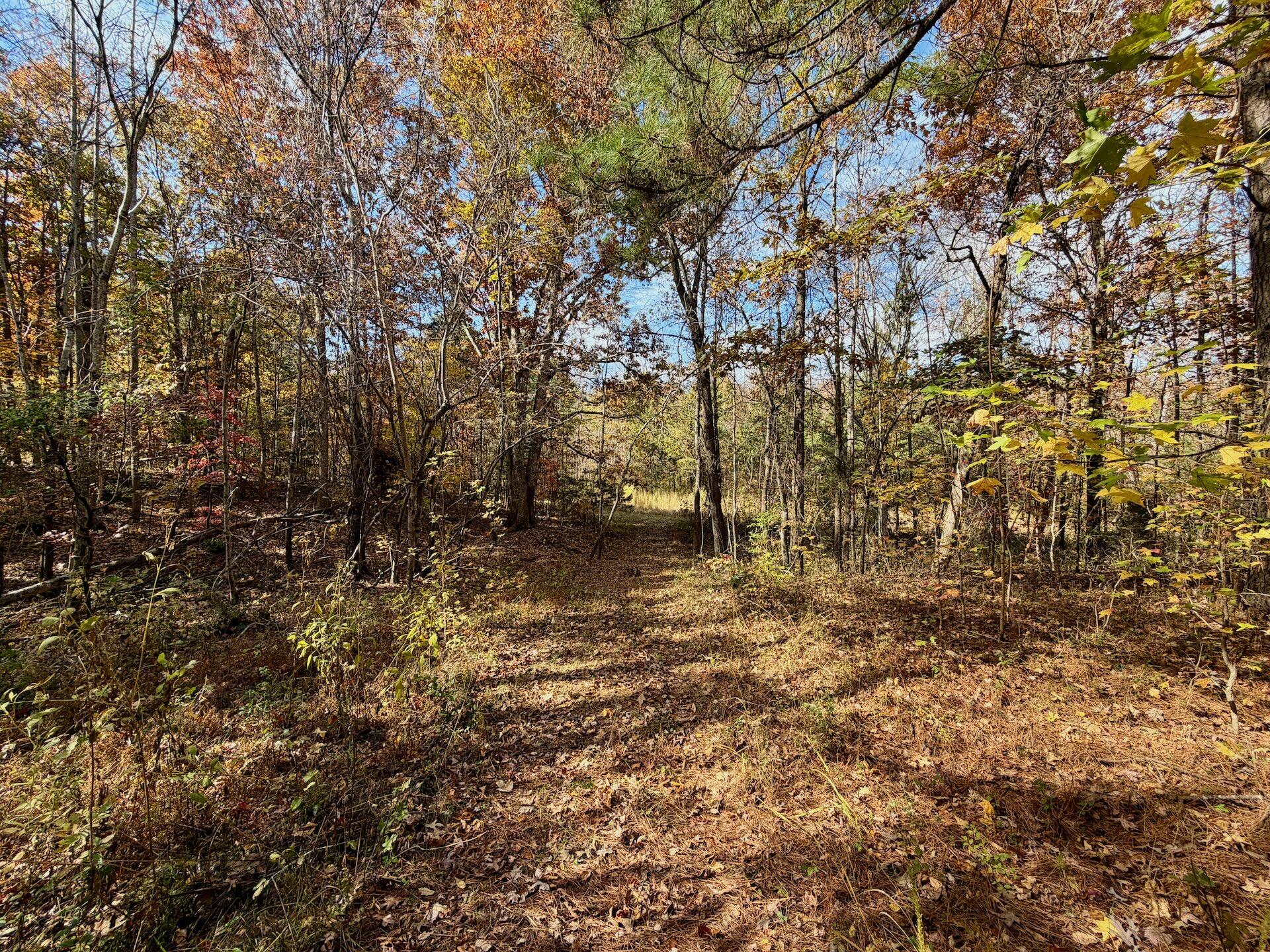 0 Slatesville Road Keeling, VA 24566 - Photo 7 of 78 7