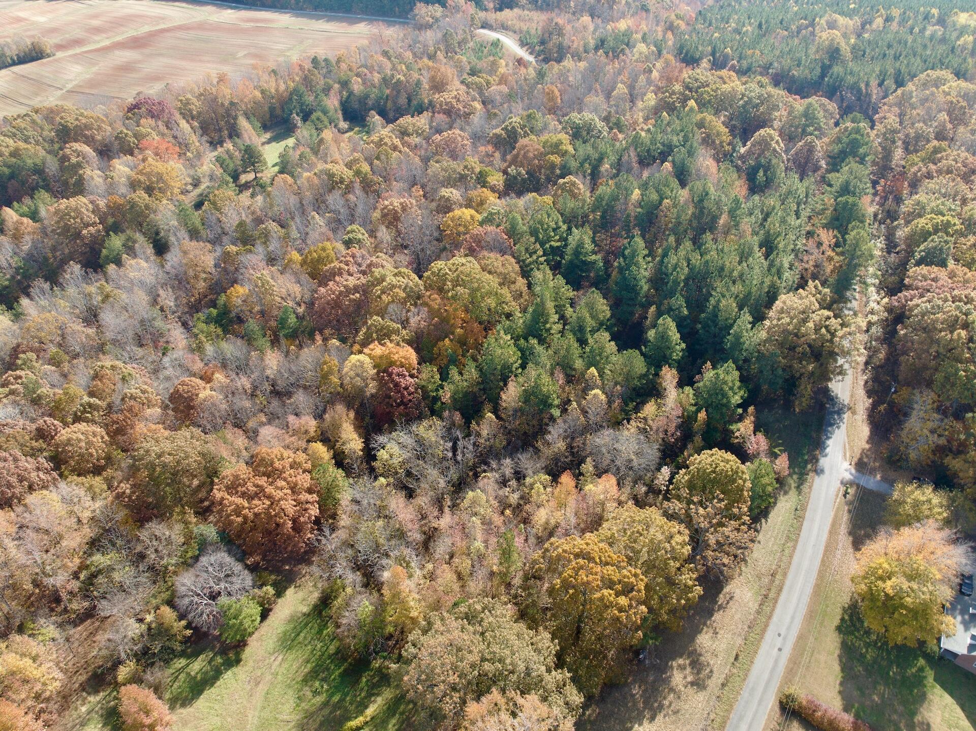 0 Slatesville Road Keeling, VA 24566 - Photo 72 of 78 Chivvis - 6