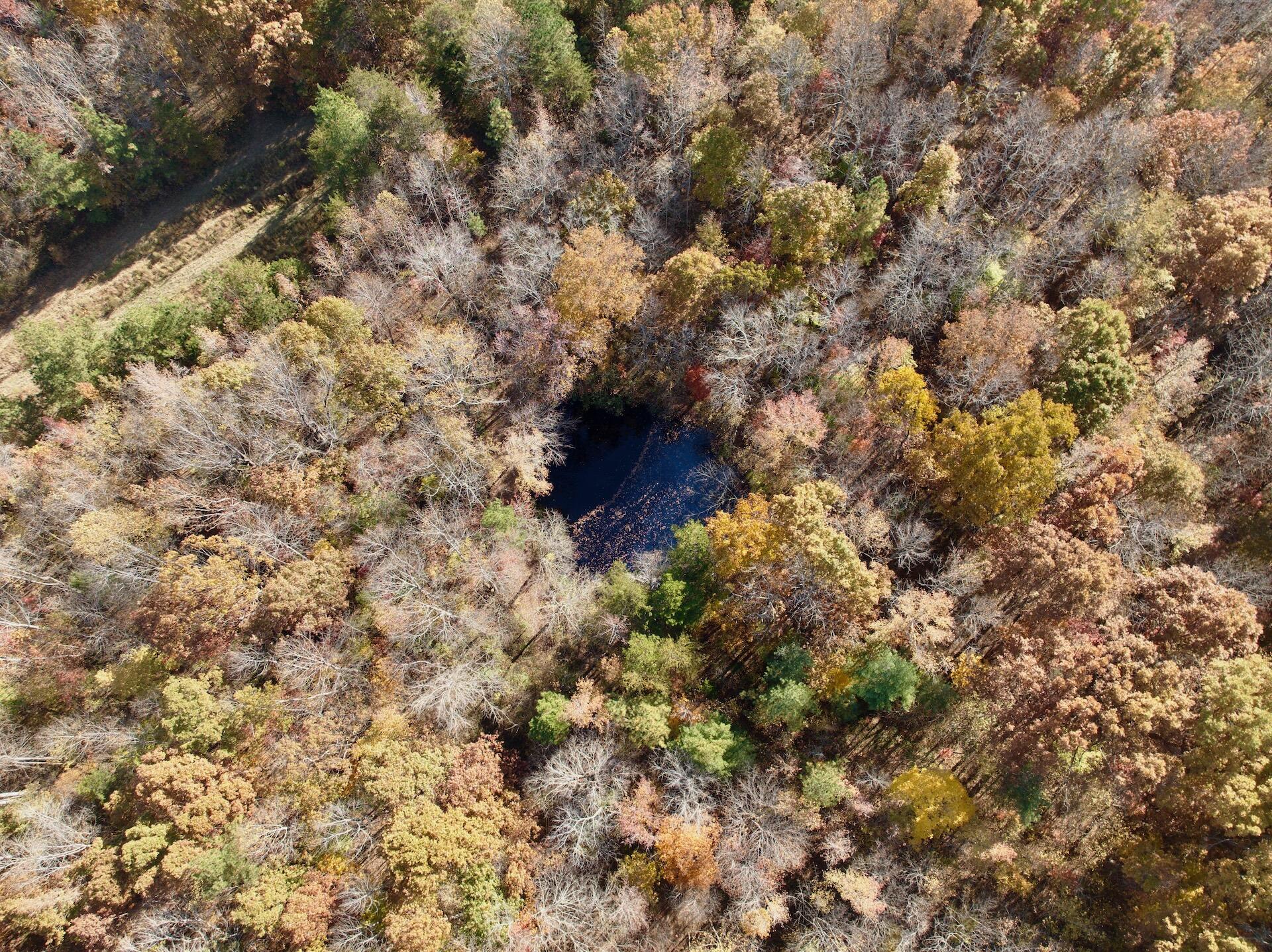 0 Slatesville Road Keeling, VA 24566 - Photo 8 of 78 a picture of a tree