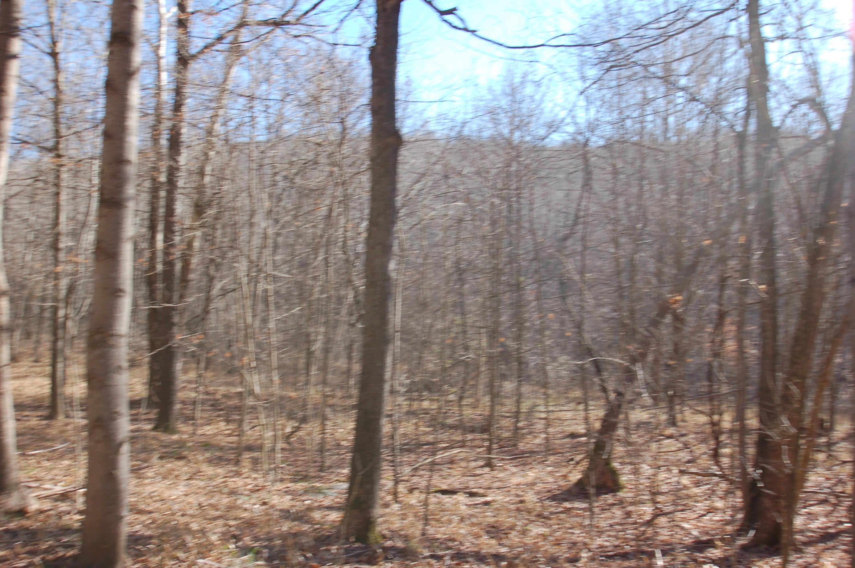 399 Green Ridge Road Peebles, OH 45660 - Photo 47 of 72 Gallery Image 47