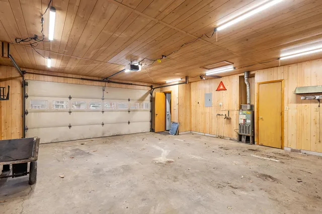 a view of a plant in a garden