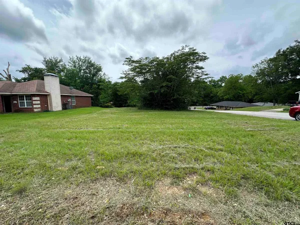 a view of a big yard with plants and large trees