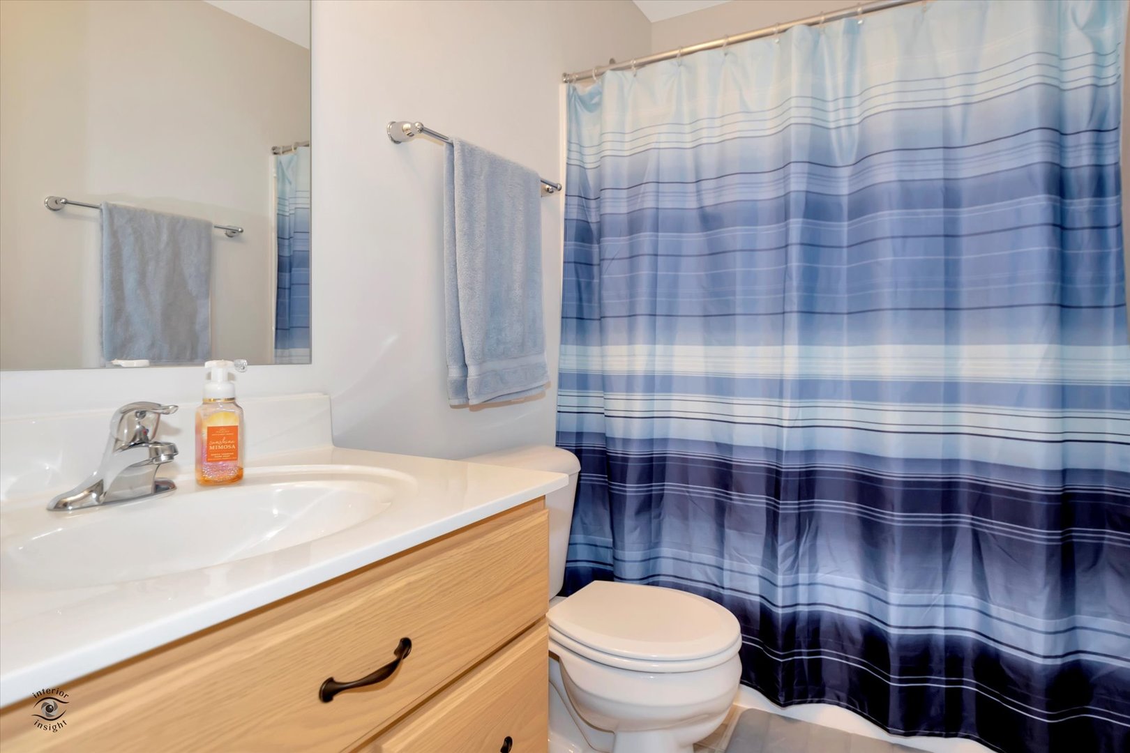 1721 Eagle Ct. Morris, IL 60450 - Photo 19 of 27 a bathroom with a sink a toilet and shower