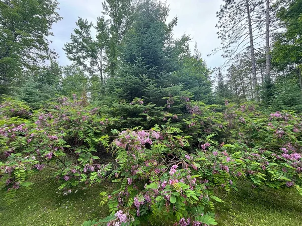 $115,000 | 13344 Highway 32, Mountain, WI 54149