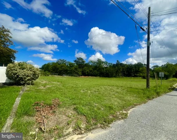 a view of a big yard with a large tree