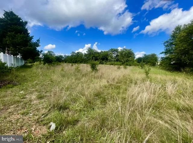 a view of lake with green space