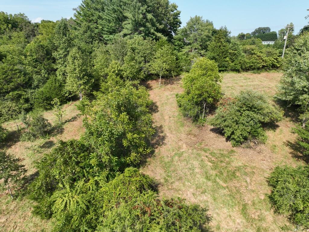 14349 Moneta Road Moneta, VA 24121 - Photo 16 of 23 80E77195-4F13-4343-B879-56C378BE4488_1_1
