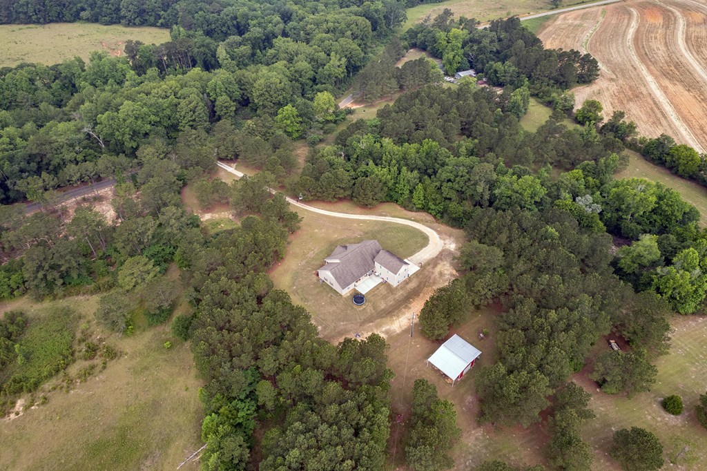 240 Cedar Springs Road Ashford, AL 36312 - Photo 3 of 71