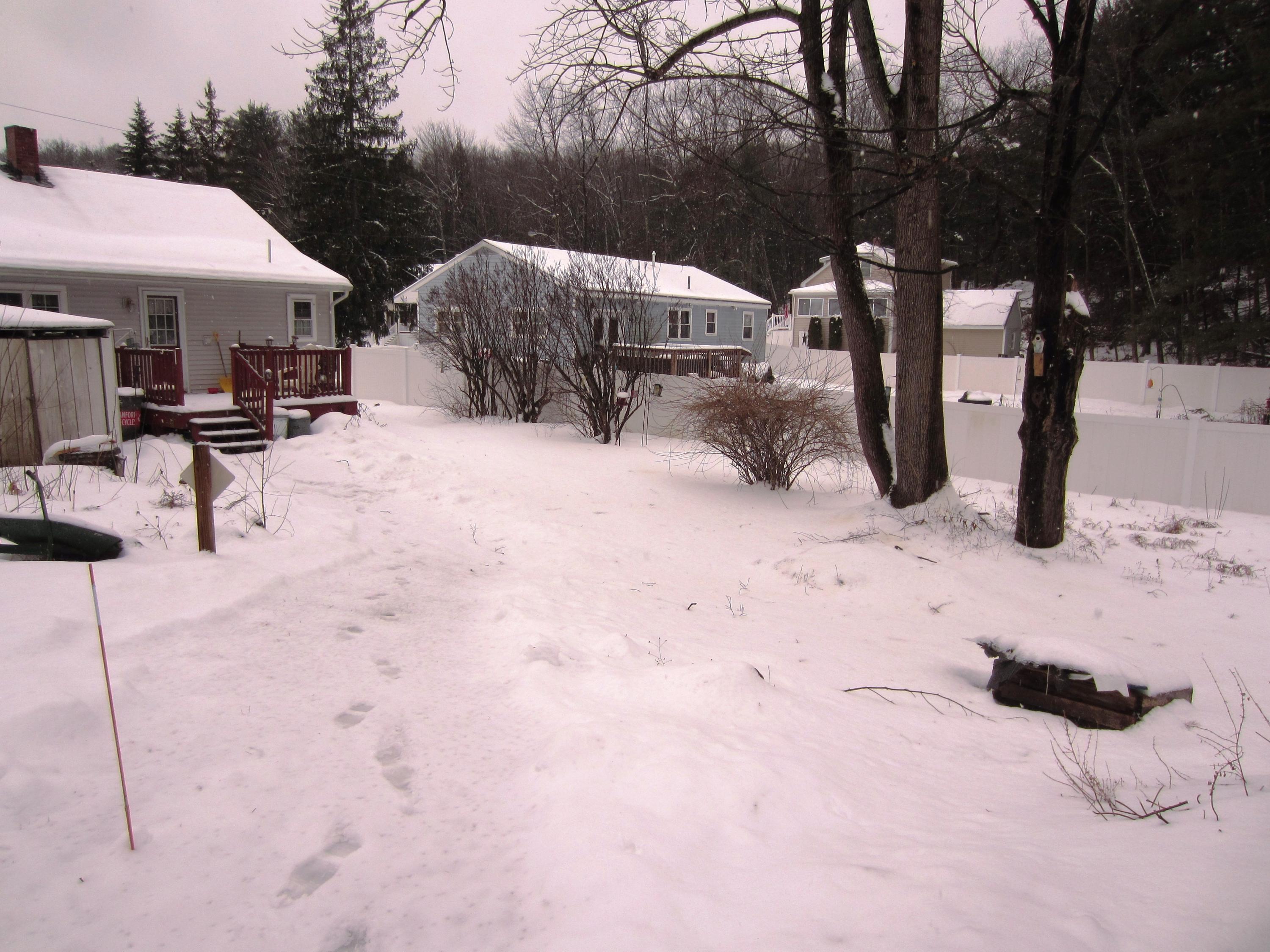 19 Auburn Street Springvale, ME 04083 - Photo 29 of 29 Back Yard