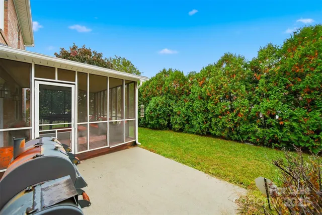 a view of a backyard with plants and a garden