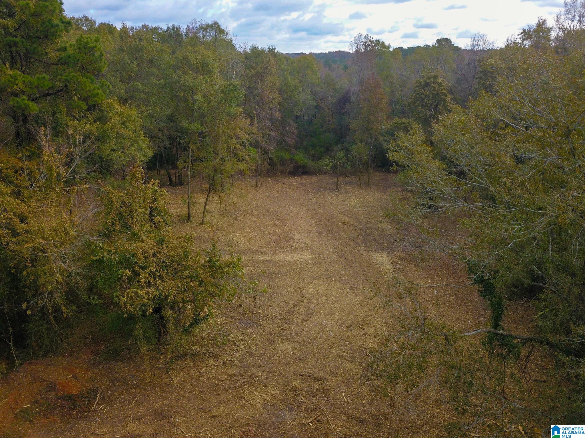 0 Midway Road Tuskegee, AL 36083 - Photo 16 of 30
