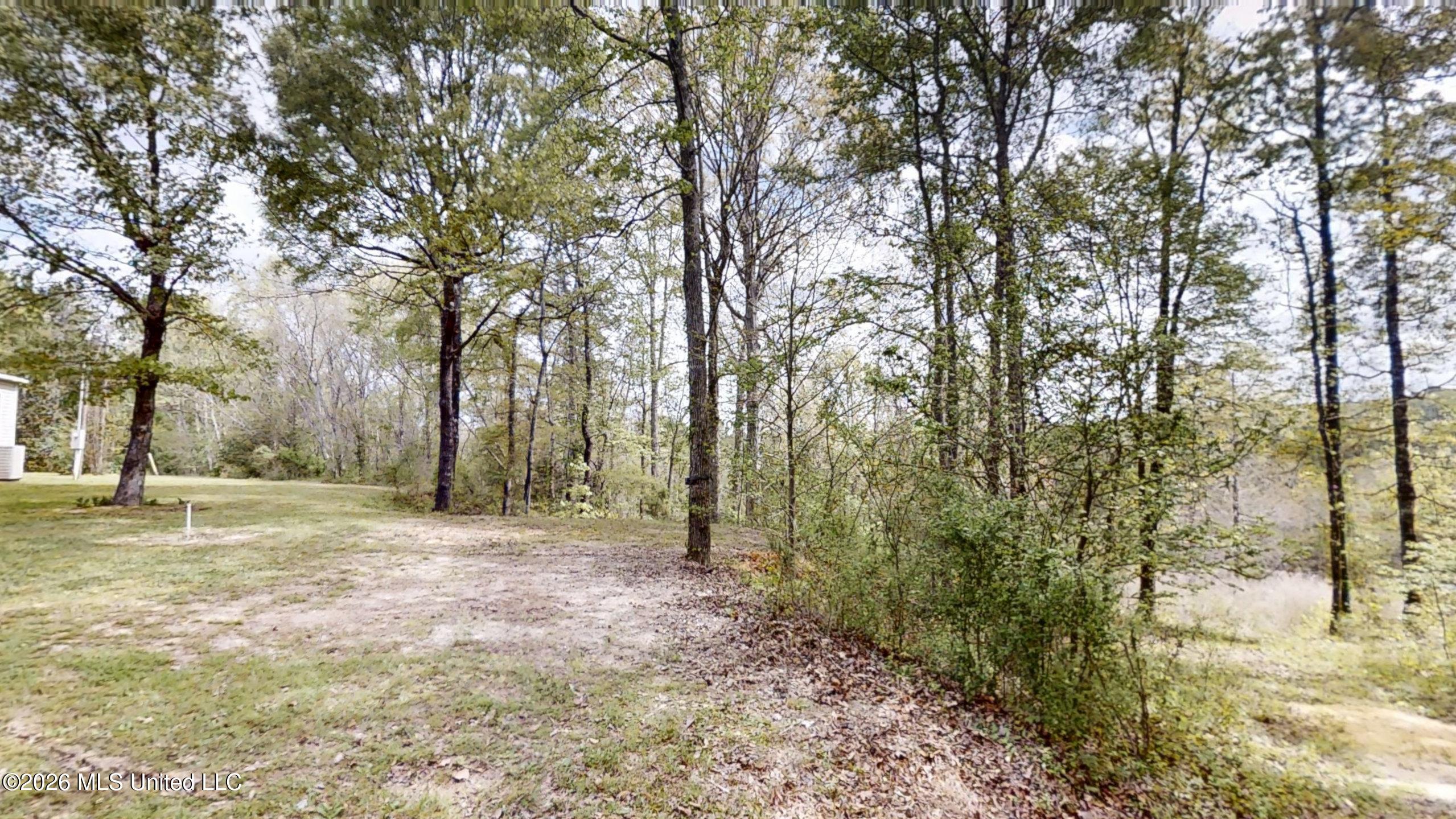 2637 South Pearson Road Richland, MS 39218 - Photo 53 of 56 2637-S-Pearson-Rd-03312026_051059