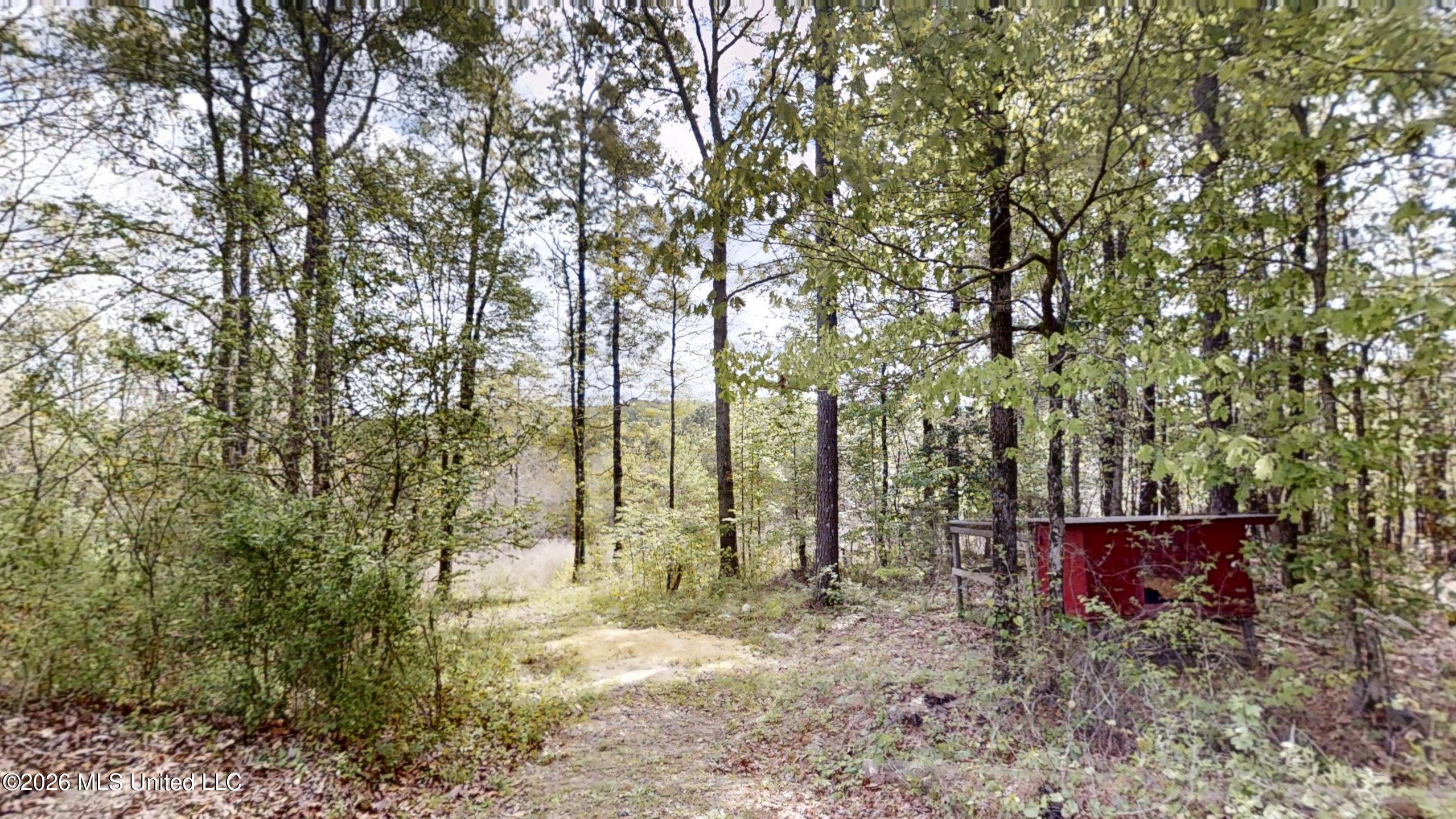 2637 South Pearson Road Richland, MS 39218 - Photo 54 of 56 2637-S-Pearson-Rd-03312026_051112