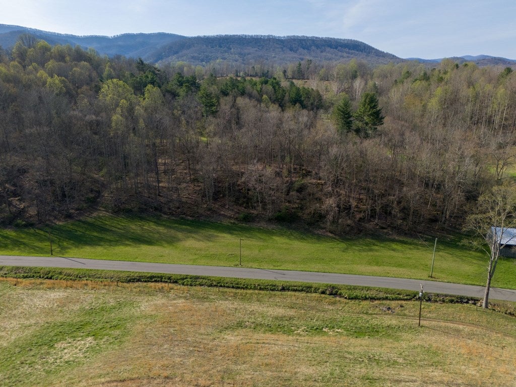 Tbd Denton Valley Road, Unit 45 Abingdon, VA 24211 - Photo 11 of 12 Gallery Image 11