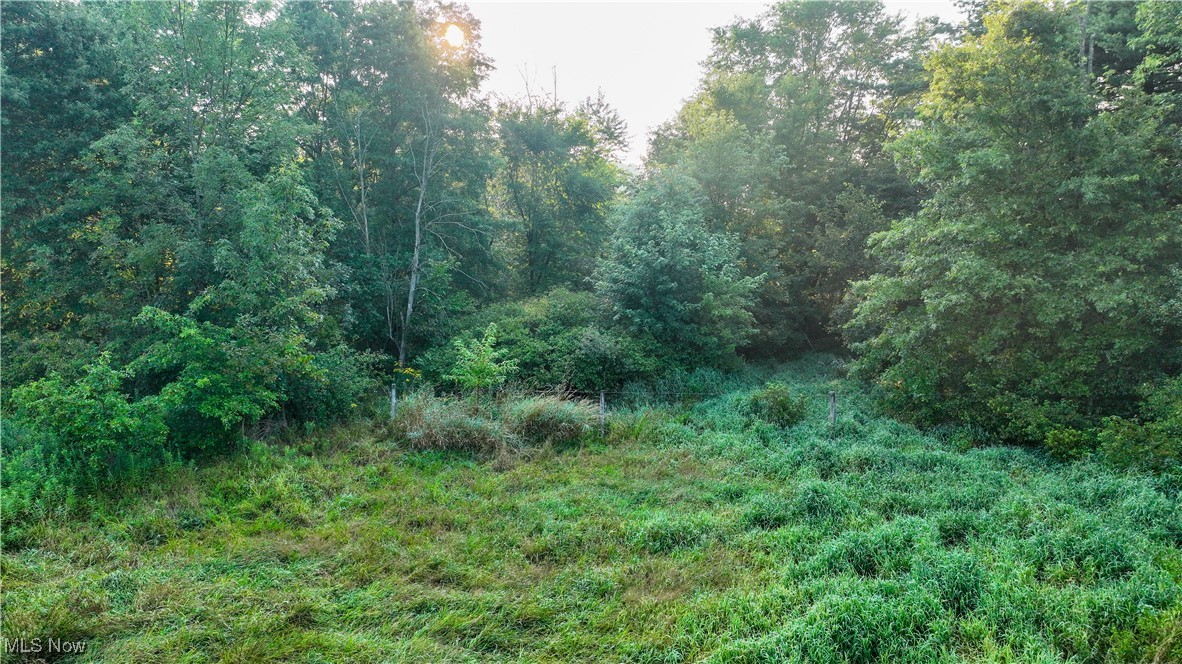22600 Lexington Road Alliance, OH 44601 - Photo 32 of 39 Gallery Image 32