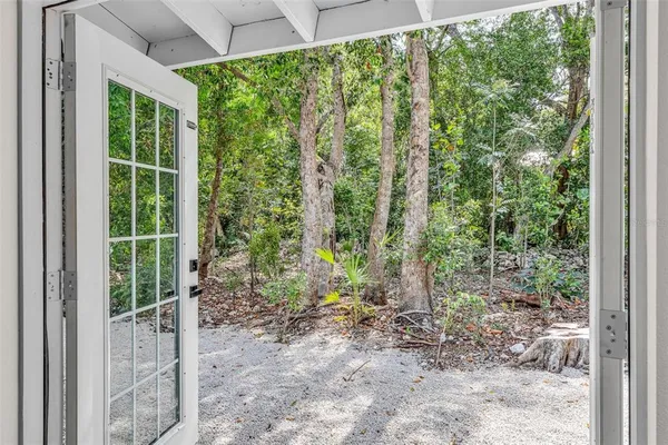 a view of a forest from a window