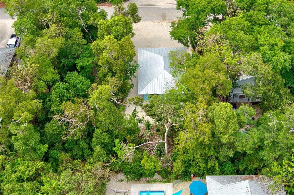 218 Lignumvitae Drive Key Largo, FL 33037 - Photo 28 of 35 a view of a yard