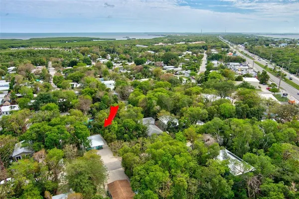 an aerial view of residential houses with outdoor space and trees