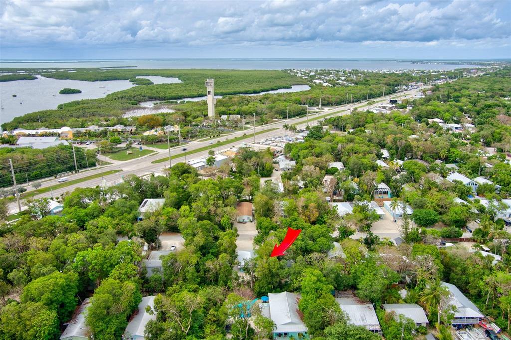 218 Lignumvitae Drive Key Largo, FL 33037 - Photo 34 of 35 a view of a garden