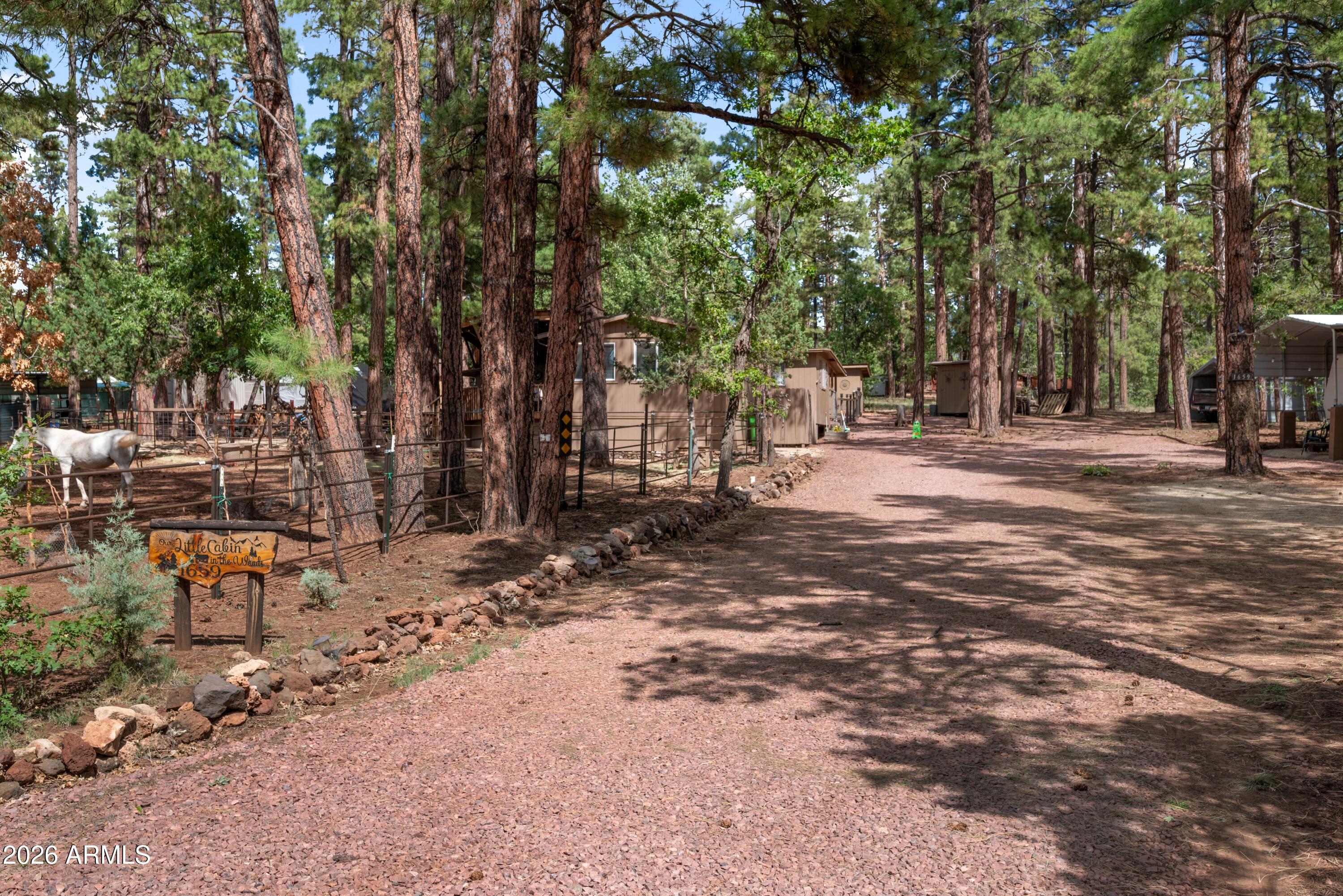 1659 Mormon Road Happy Jack, AZ 86024 - Photo 2 of 37 a view of a yard with a tree