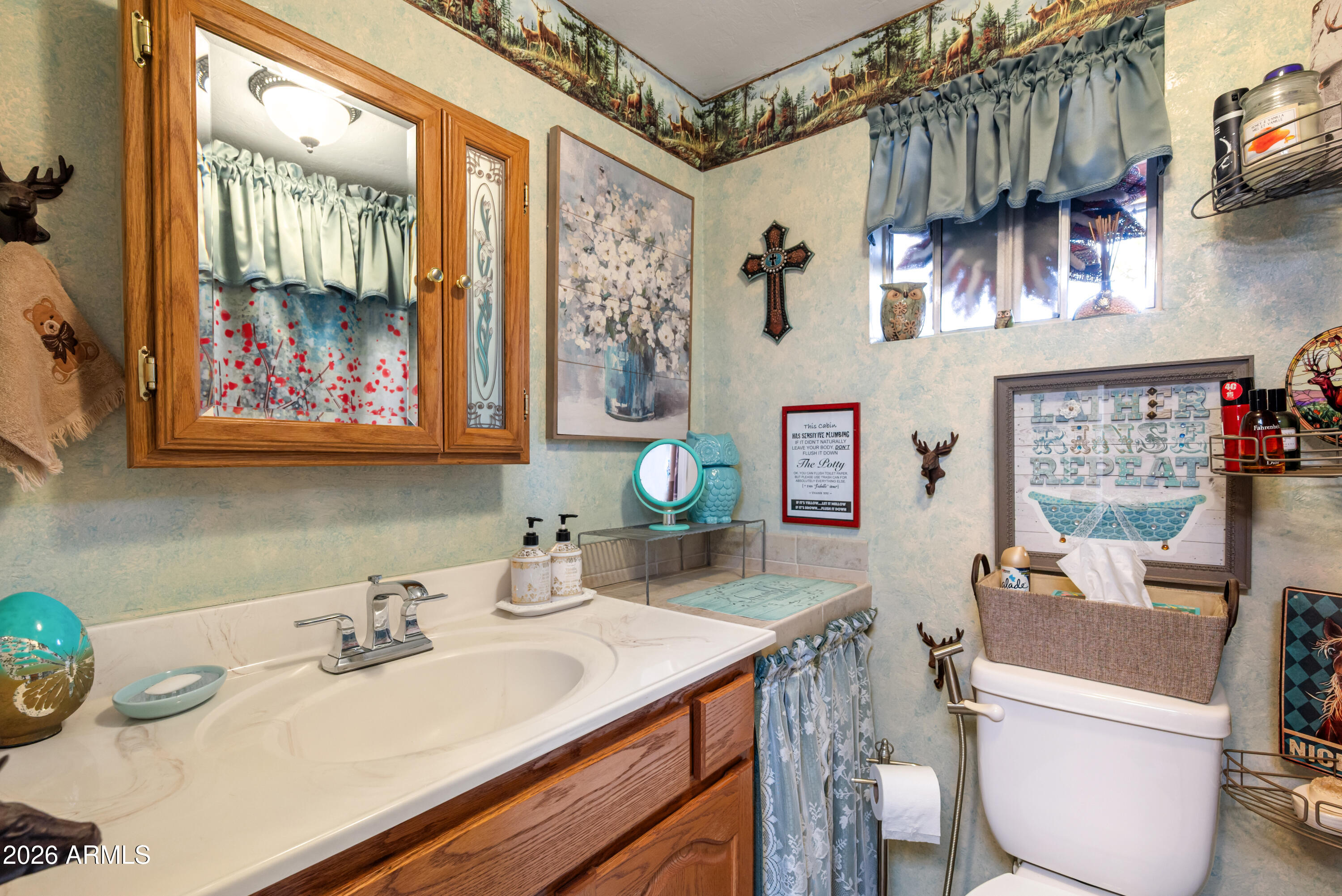 1659 Mormon Road Happy Jack, AZ 86024 - Photo 25 of 37 a bathroom with a sink mirror and toilet