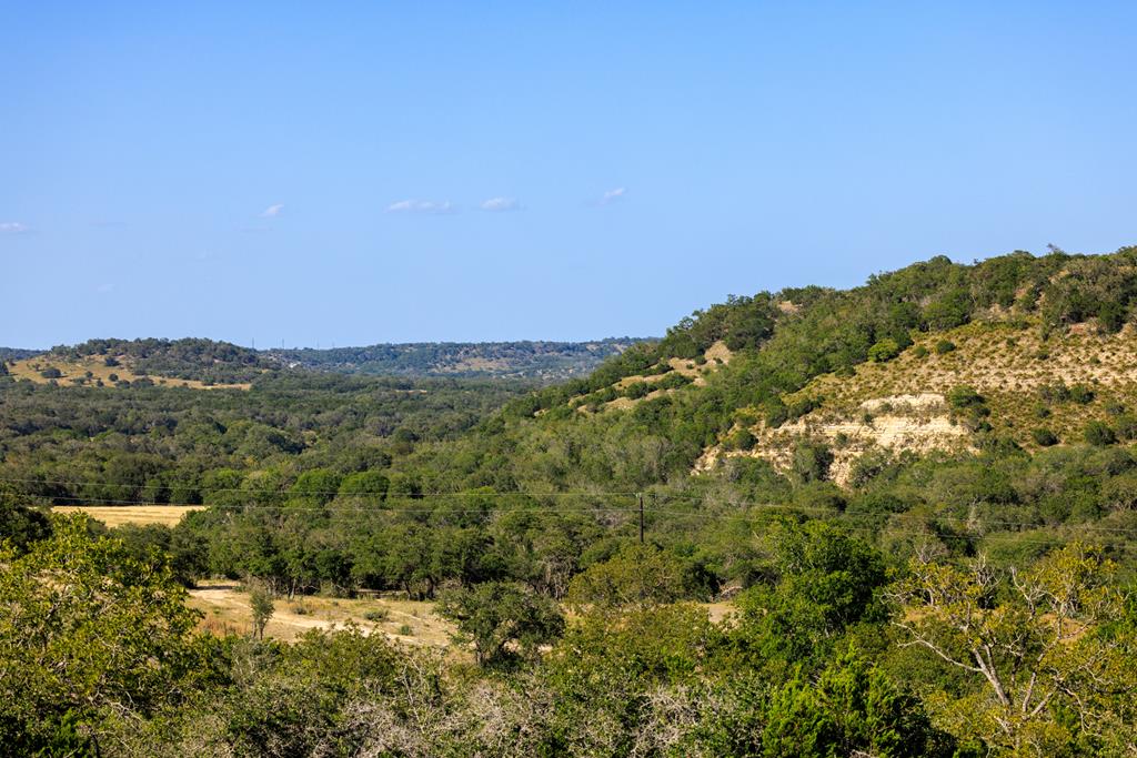 0 Delaware Creek Road Blanco, TX 78606 - Photo 8 of 16 Gallery Image 8