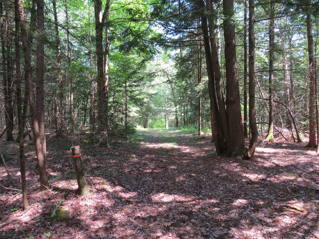 2489 State Rte 3 Cadyville, NY 12918 - Photo 17 of 18 Gallery Image 17