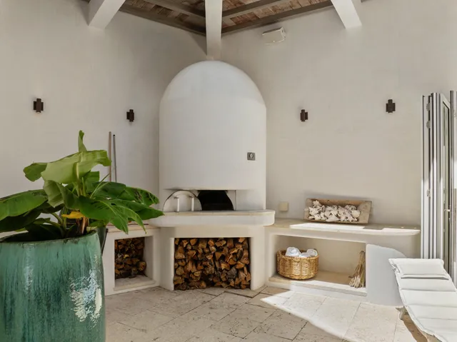 a living room with a bed furniture and a potted plant