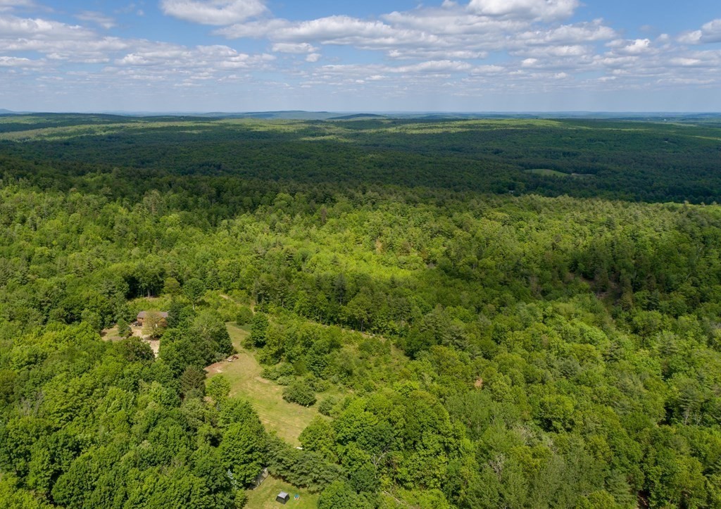 244 Davis Road Ashby, MA 01431 - Photo 5 of 35 a view of a green field with lots of bushes