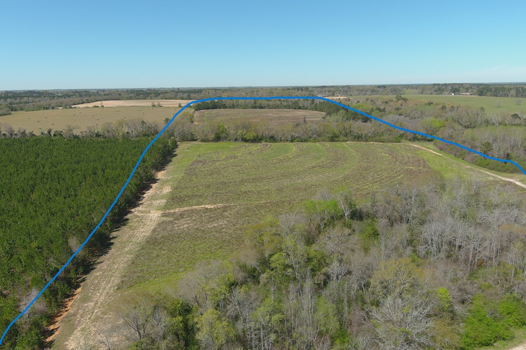 0 Macedonia Ch Road Columbia, AL 36319 - Photo 4 of 61