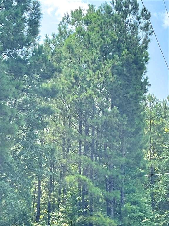 0 Felton Mcmichael Road Monticello, GA 31064 - Photo 6 of 9