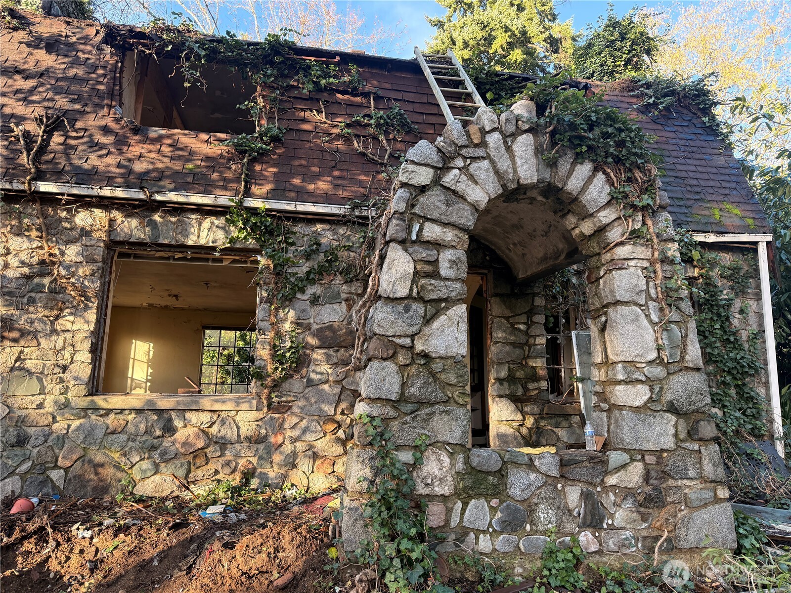 12649 16th Avenue South Seattle, WA 98168 - Photo 4 of 5 a picture of a tree