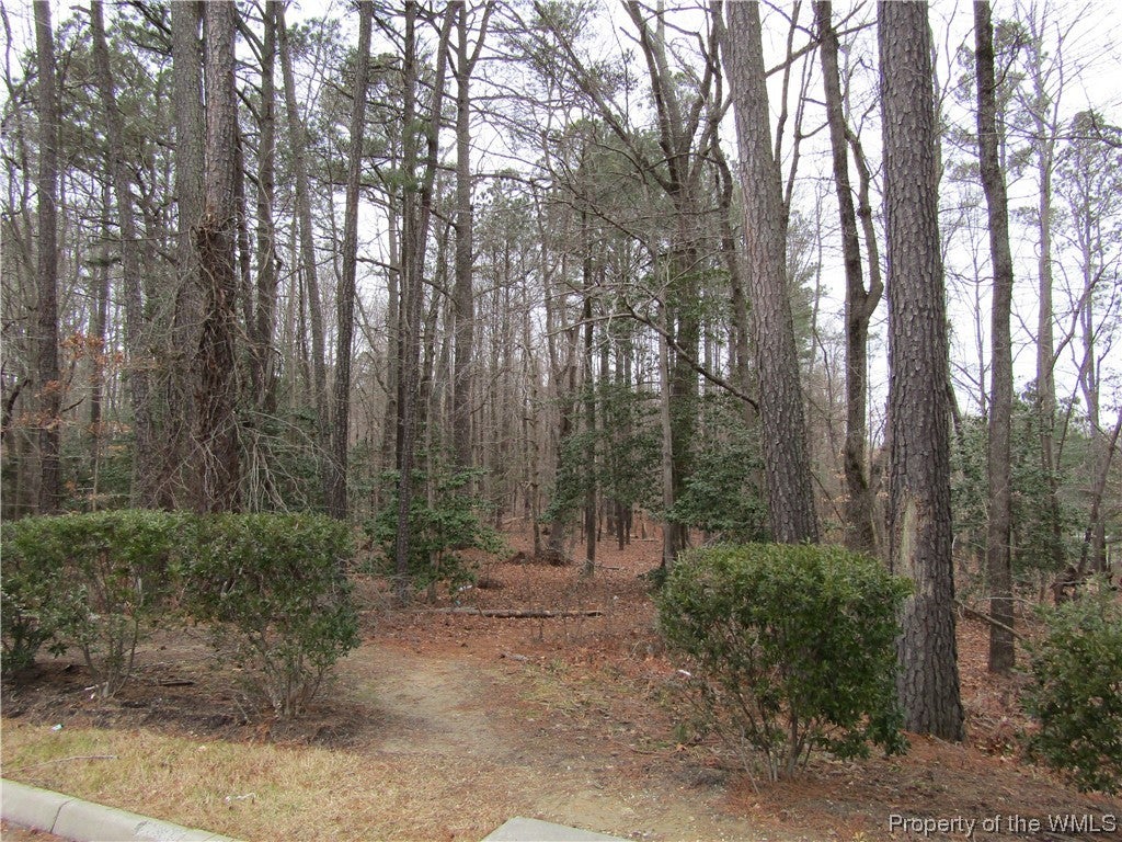6423 Centerville Road Williamsburg, VA 23188 - Photo 3 of 8 Gallery Image 3