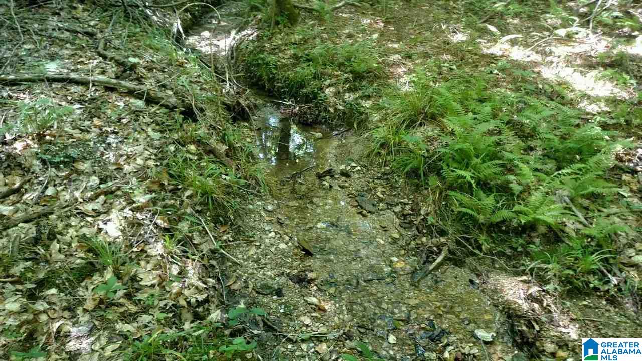 0 Herman Rdg Drive Oxford, AL 36203 - Photo 2 of 2