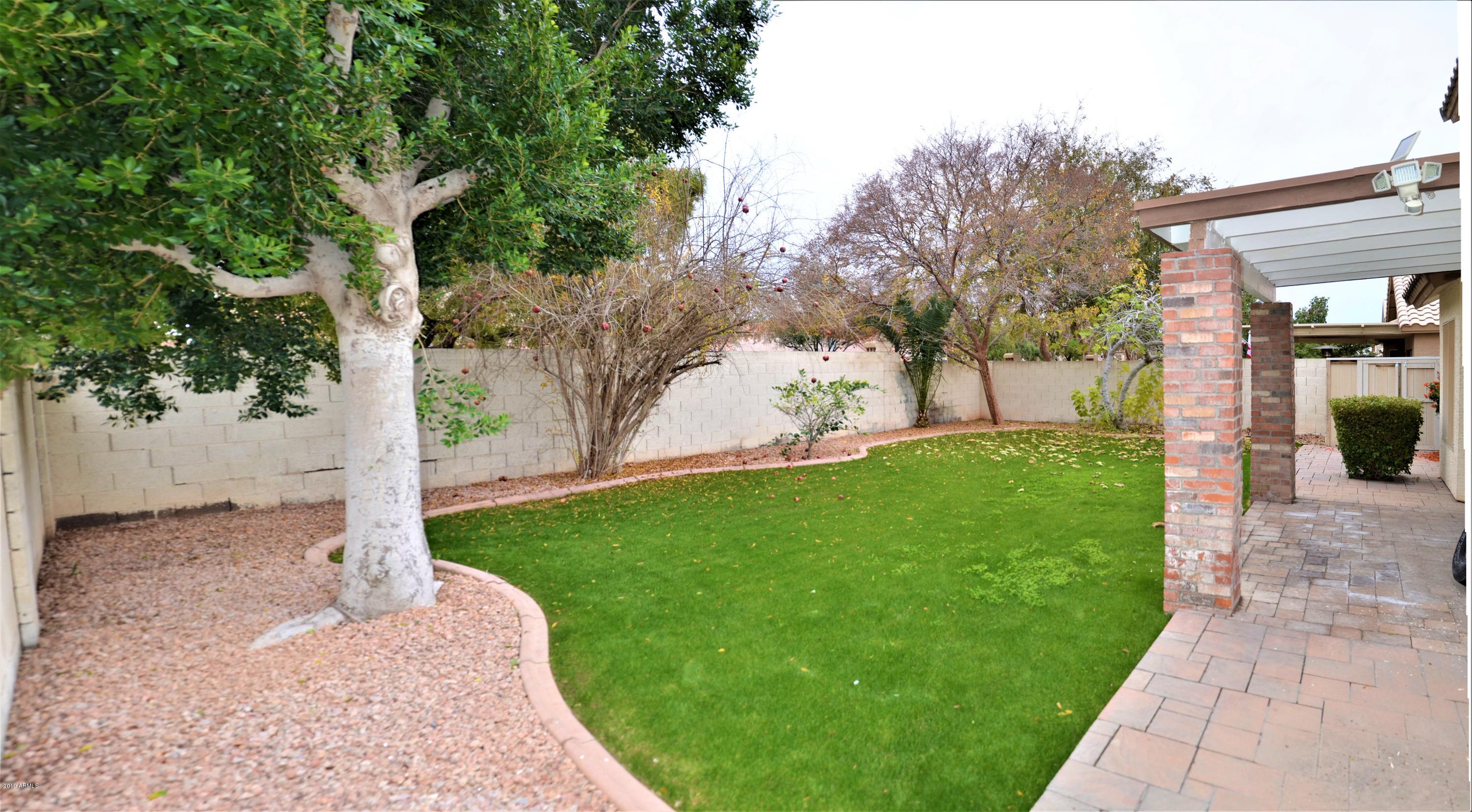 837 West Shellfish Drive Gilbert, AZ 85233 - Photo 20 of 31 Backyard (2)
