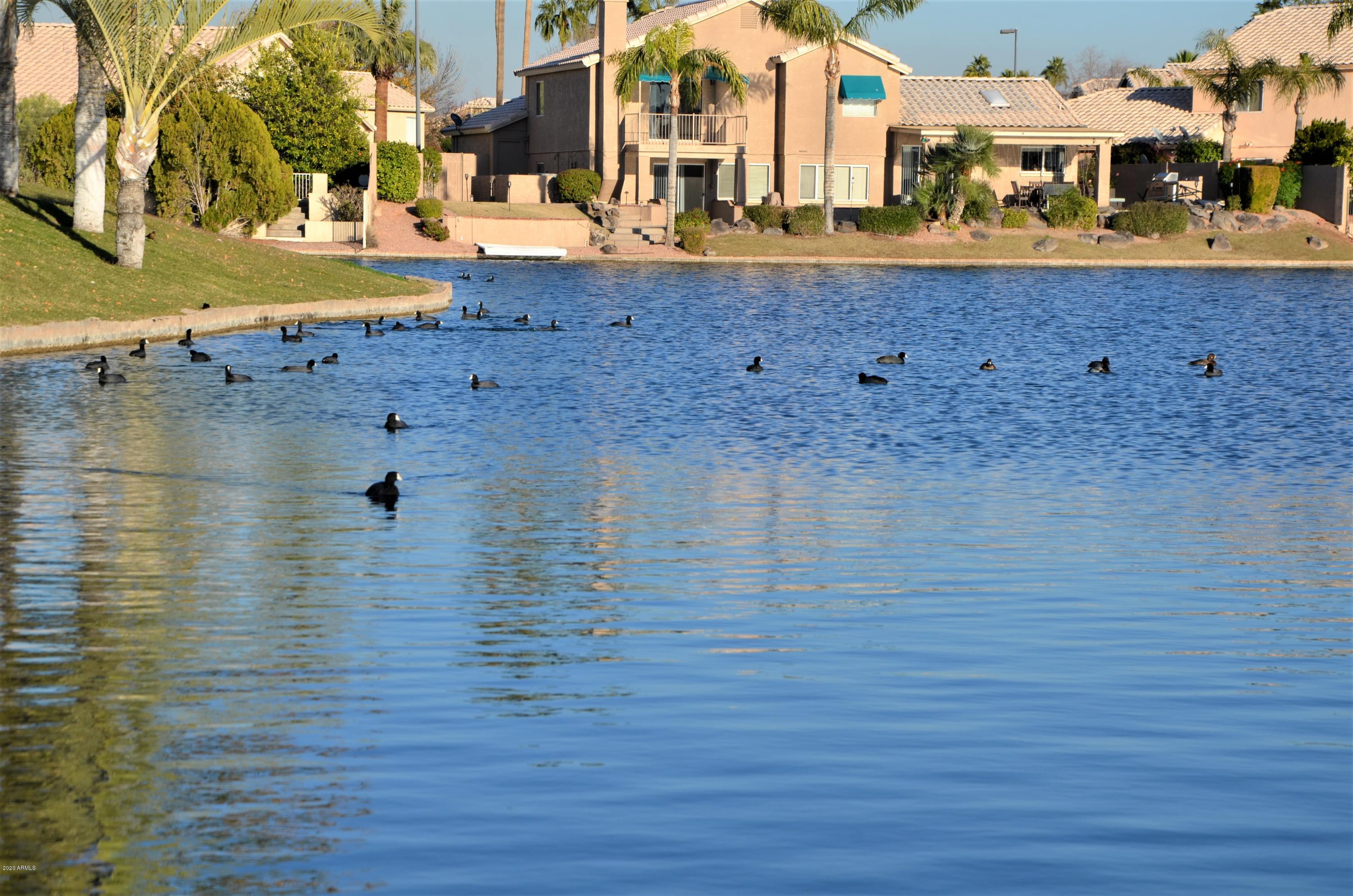 837 West Shellfish Drive Gilbert, AZ 85233 - Photo 24 of 31 Lake 2