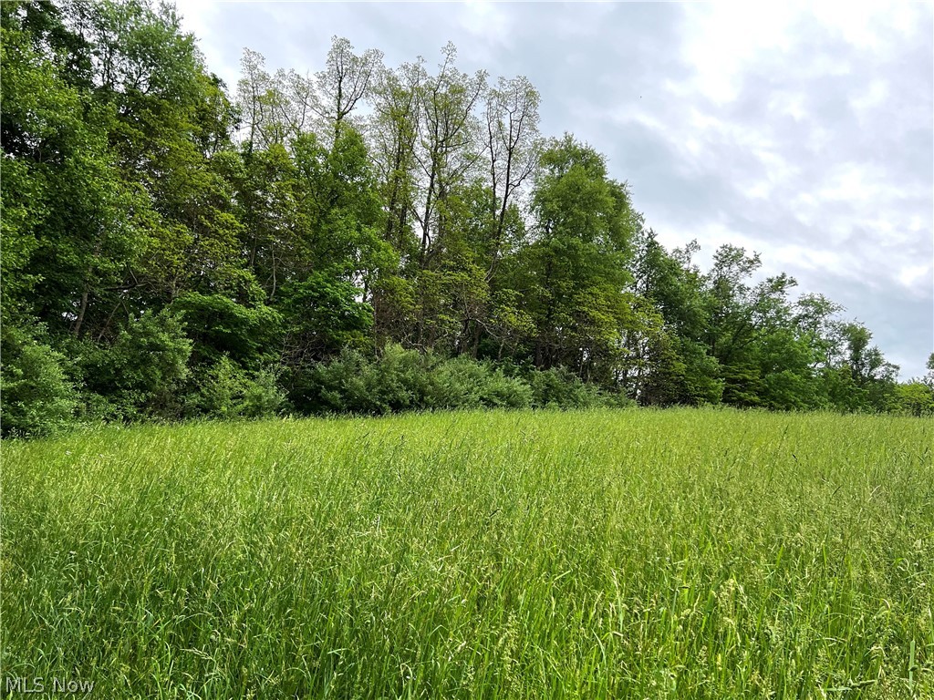 Sandy Ridge Road Southeast Tippecanoe, OH 44699 - Photo 26 of 27 Gallery Image 26