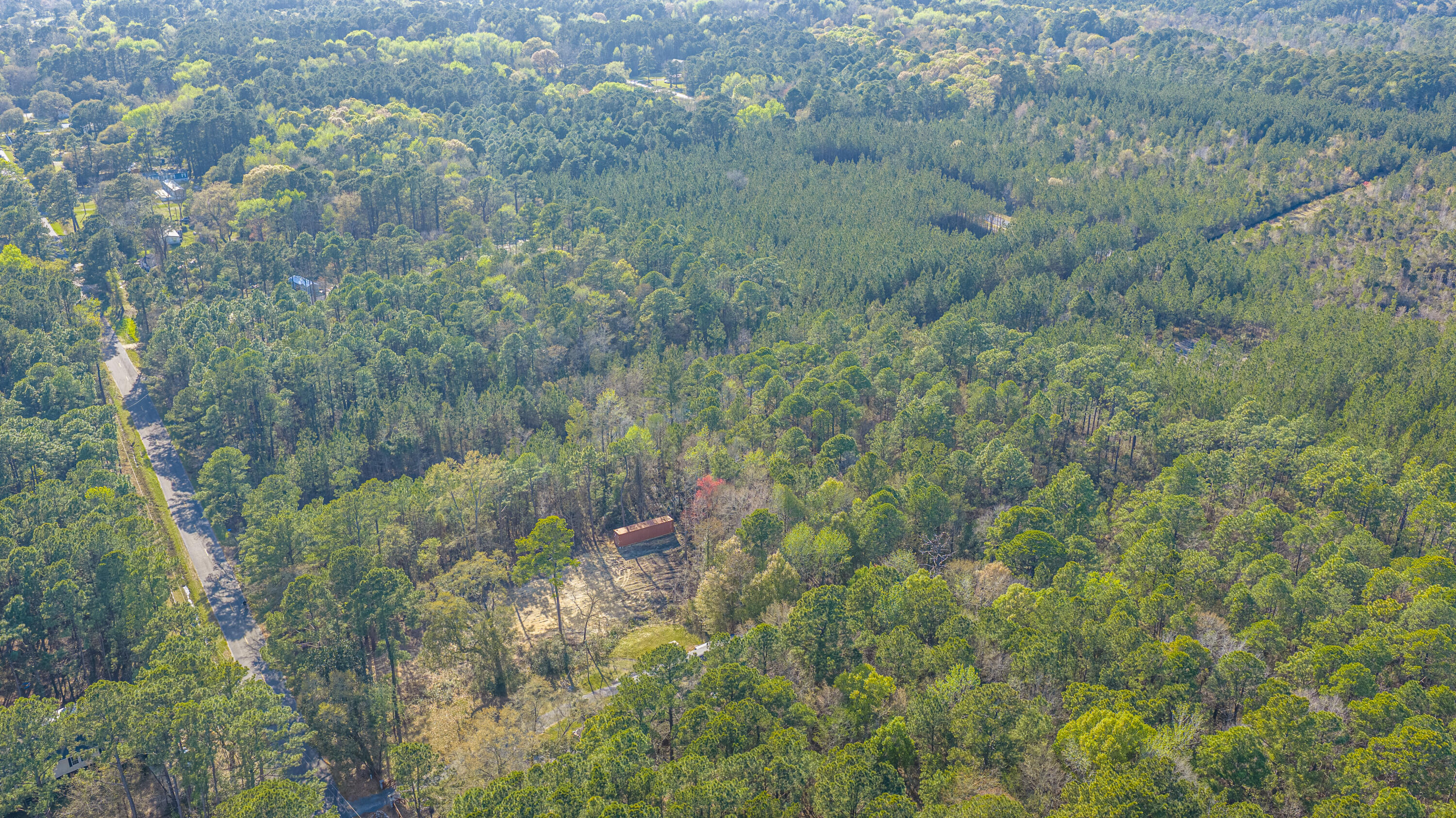 808 Society Road McClellanville, SC 29458 - Photo 36 of 50 808SocietyRd054
