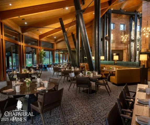 a view of a park with large trees