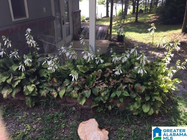 448 Cedar Cove, Unit 5 Alpine, AL 35014 - Photo 29 of 44