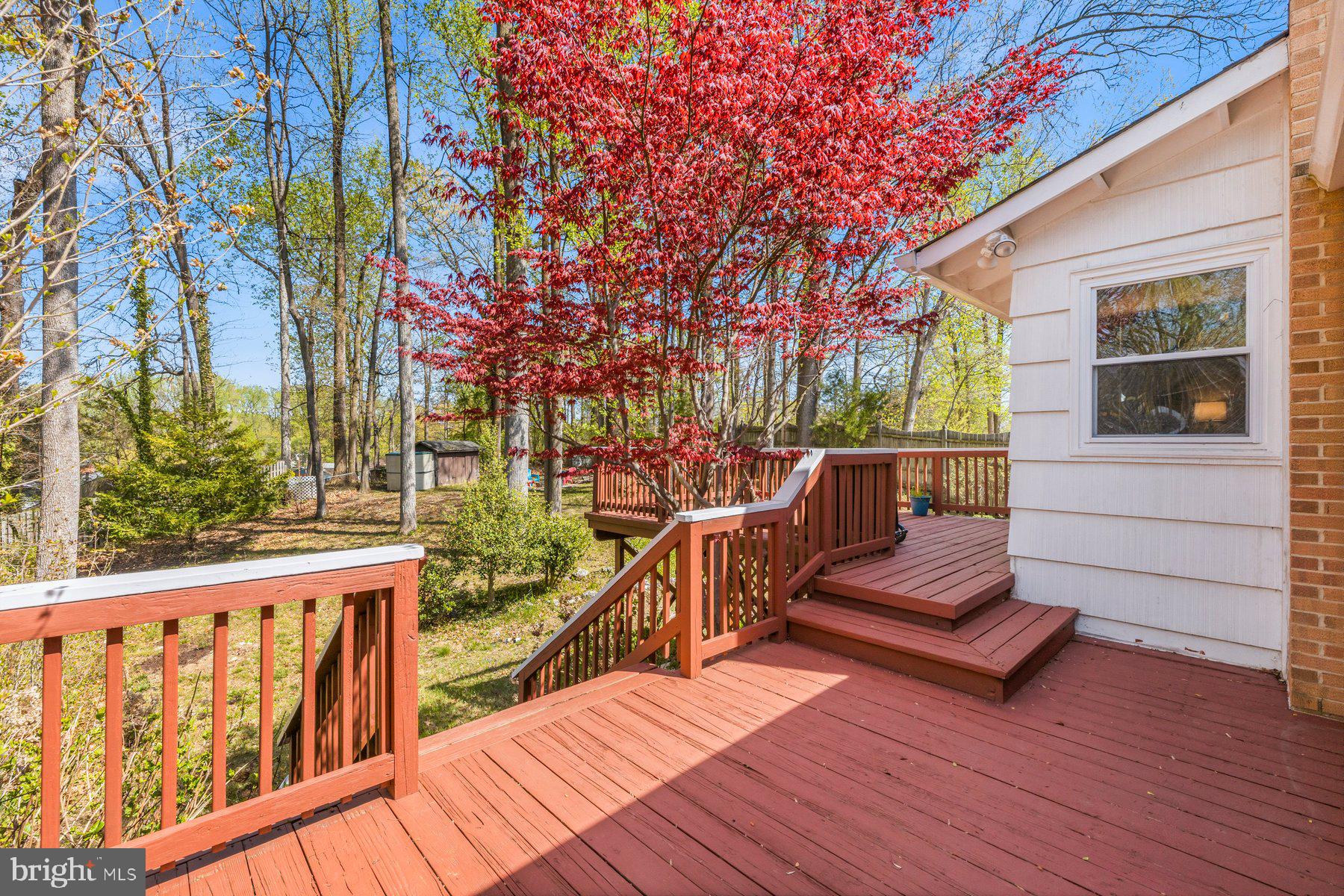 6231 Greeley Boulevard Springfield, VA 22152 - Photo 30 of 33