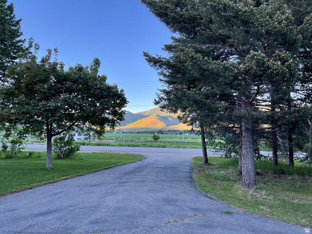 2807 North Ogden Canyon Road Eden, UT 84310 - Photo 64 of 72 Paved driveway bordered by mature trees and grass, with distant mountains and open fields