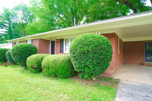 a view of a backyard with plants