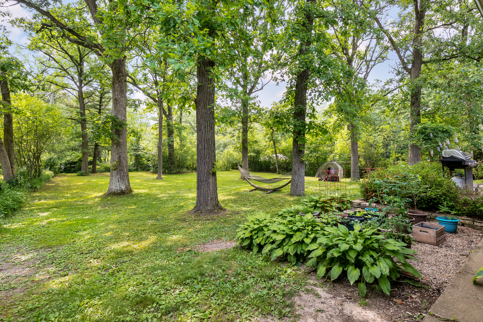 1136 Waveland Road Lake Forest, IL 60045 - Photo 16 of 18 a view of outdoor space with deck and tree