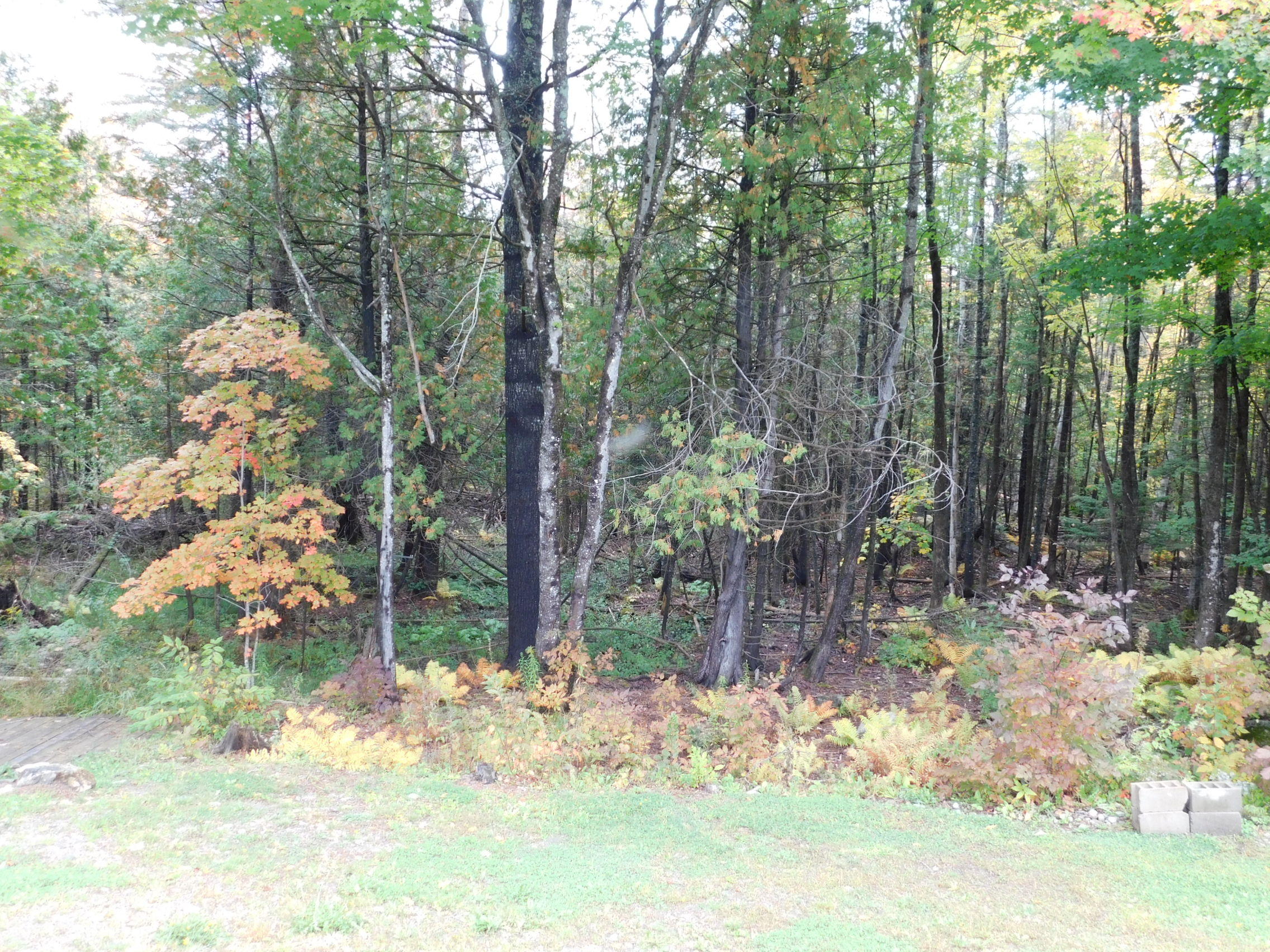 128 Athens Road Harmony, ME 04942 - Photo 28 of 30 DSCN0246